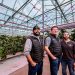 Great Lakes Greenhouses Enhances Cucumber Production with Philips GreenPower LED toplighting and GrowWise Control Systems