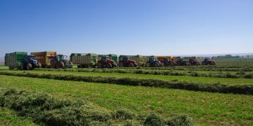 Healthy Forage With Maximum 12% Moisture