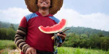 75 percent of farmers are open to innovation to cope with climate change, global research reveals