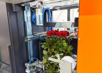 Bercomex launches the new Rosematic bunch-binding station at IFTF 2024