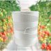 BioTwine by Hilaturas Mar: COMPOSTABLE Greenhouse Support