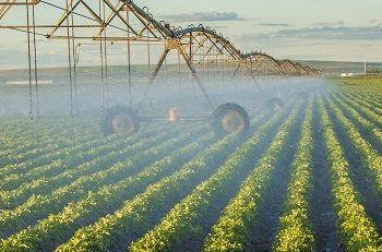 Adjuvants Market: Navigating Future Innovations and Emerging Opportunities