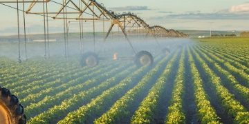 Adjuvants Market: Navigating Future Innovations and Emerging Opportunities