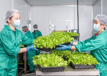 UNS Farms Launches Educational Farm Tours to Inspire Sustainable Food Choices in Dubai