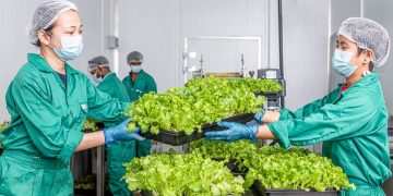 UNS Farms Launches Educational Farm Tours to Inspire Sustainable Food Choices in Dubai