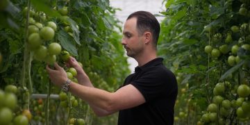 Breugem Horticulture: Keeping Up with Change & Customer Expectations with Source.ag’s Solutions