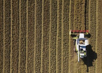 Sustainability at the Core of the “EUROPEAN RICE” Campaign