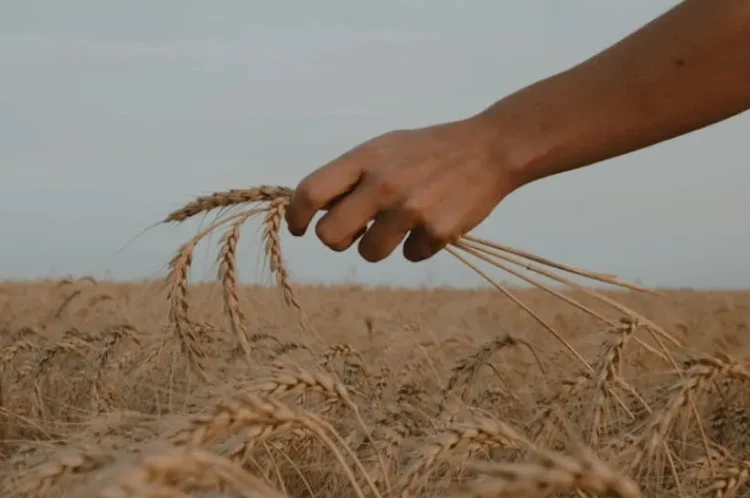 Eurasco: Leading the Future of Agricultural Trade Shows Across Europe