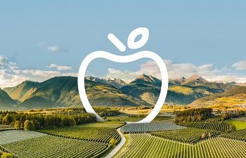 Countdown to the 2024 Interpoma: Spotlight on Digitalization