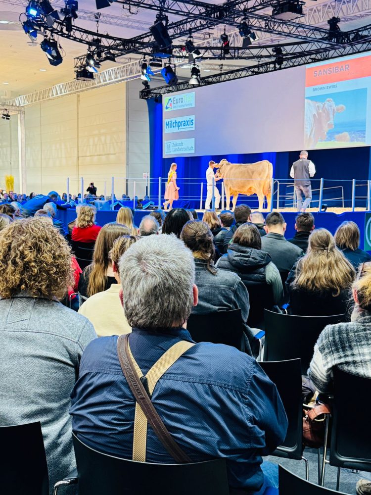 EuroTier 2024 Showcases Innovations in Sustainable Animal Farming