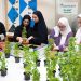 Sharjah Sustainable City engages 300 University of Sharjah students in sustainable agriculture workshop