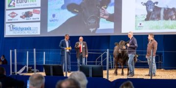 EuroTier 2024: Trends in Cattle Farming and Feeding Technology