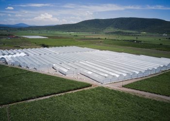 J. Huete Greenhouses to build new high-tech greenhouse in Japan for lettuce cultivation