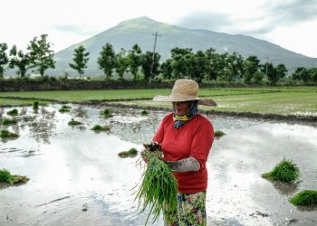 New $282 million program targets climate and environment action through agriculture and food systems
