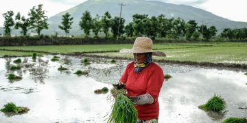 New $282 million program targets climate and environment action through agriculture and food systems