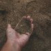 World Soil Day 2024 underlines importance of accurate soil data and information for food security