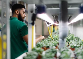 UNS Farms launches educational farm tours to Dubai