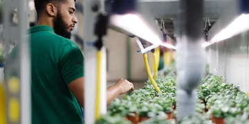 UNS Farms launches educational farm tours to Dubai