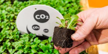 Program of the new Gardeners’ Forum at IPM ESSEN is released