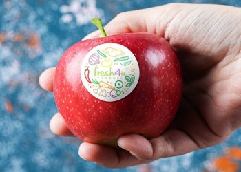 UK Innovation Shines at Fruit Logistica