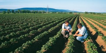 Bayer and Ecospray Reach Distribution Agreement for New Garlic-Sourced Biological Crop Protection Product