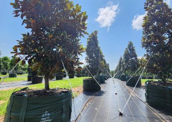 GROWINNOVATE : AN INDUSTRY LEADER