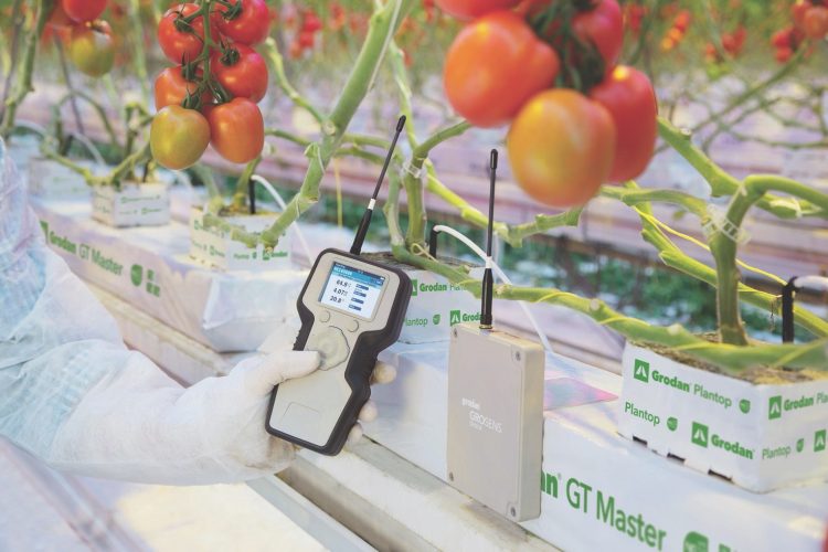 SAVE ENERGY IN GREENHOUSES WITHOUT AFFECTING PLANT ACTIVITY