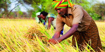 Bayer to issue first carbon credits from regenerative farming practices in India