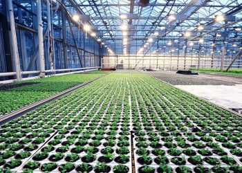 Divestment of the FoodTech Equipment offering completed