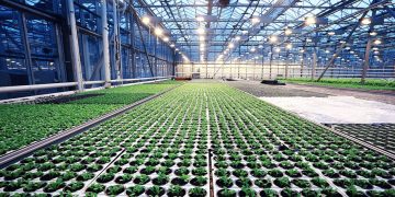 Divestment of the FoodTech Equipment offering completed