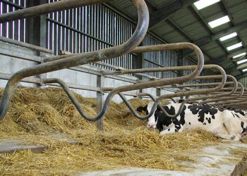 Bioret Corp launches Bioret NRJ: A step closer to 0 emissions farms