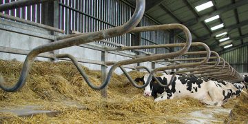 Bioret Corp launches Bioret NRJ: A step closer to 0 emissions farms