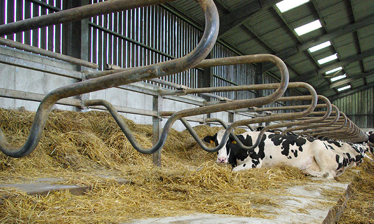 Bioret Corp launches Bioret NRJ: A step closer to 0 emissions farms