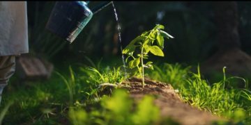 The Mohamed bin Zayed Water Initiative launches USD 2 million Al Miyah Challenge for Agriculture to accelerate development and deployment of water efficiency technologies for agriculture