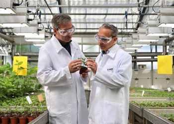 BASF starts registration for new fungicide innovation Adapzo® Active to control Asian Soybean Rust