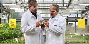 BASF starts registration for new fungicide innovation Adapzo® Active to control Asian Soybean Rust