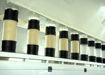 Gautam Rice Pioneers Artificial Intelligence Technologies to Ensure Optimum Grain Uniformity and Purity”