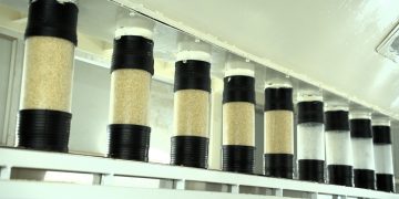 Gautam Rice Pioneers Artificial Intelligence Technologies to Ensure Optimum Grain Uniformity and Purity”