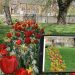 From Vision to Reality: University of Leeds brings spring to life with JUB Holland’s Flower Designer App