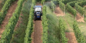 ARAG, the Precision Agriculture Division of Nordson, at Enovitis in Campo 2025: Innovation and Precision in Support of Specialized Viticulture