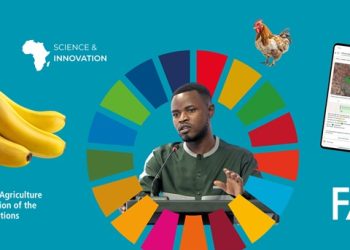 Homegrown innovation leads Africa’s agrifood transformation