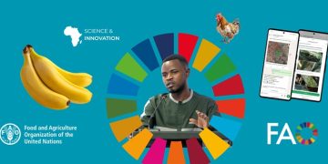 Homegrown innovation leads Africa’s agrifood transformation