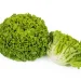 New lettuce varieties offer extra certainty for organic growers