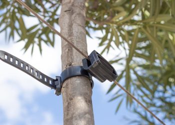 Agilo: sustainable innovation for healthy tree growth