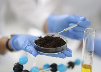 Farming the unfarmable: How microbes are reviving life in desert soils, research shows new hope for arid agriculture