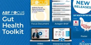 New Aviagen Toolkit Puts Broiler Gut Health in Focus