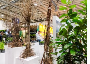 New “Woody Arena” shows solutions for climate change