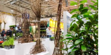 New “Woody Arena” shows solutions for climate change