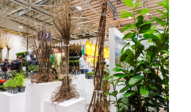 New “Woody Arena” shows solutions for climate change