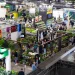 MyPlant & Garden Middle East is set to become the region’s premier B2B hub for the rising demand in floriculture and horticulture.